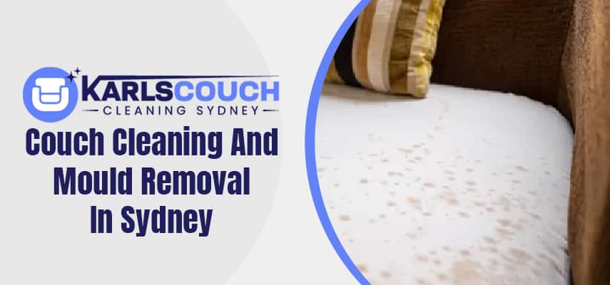 Best Couch Mould Removal